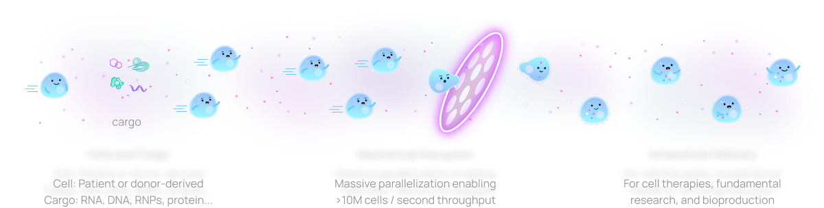 aUBGv3NYClf9oN3j_Frame629222 1